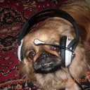 ���� ������, ������ - ��������� 1 ������ 2012