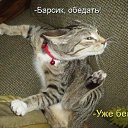���� ������, ����, 42 ���� - ��������� 25 ������ 2012 � ������ ���� ����������