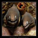 ���� ������, ������, 27 ��� - ��������� 23 �������� 2011 � ������ �������