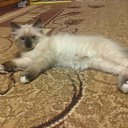 ���� �������, ��������� - ��������� 26 ������ 2013 � ������ ����������))�