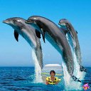 ���� ���������, �����-���������, 72 ���� - ��������� 27 ��� 2012 � ������ ����� �� �����ӻ