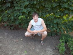 �����, ������������, 36 ���