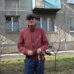 ���� ����������, �����������, 47 ��� - ��������� 12 ���� 2013