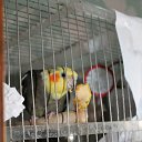 ���� ��������, �����-���������, 37 ��� - ��������� 9 ������� 2012 � ������ ������������