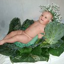 ���� �����, �������� - ��������� 13 ����� 2011 � ������ ���� ����������