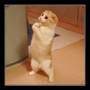  Lika,  -  3  2010      2 :))