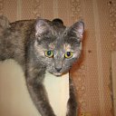 ���� �����, ������ - ��������� 27 ������� 2011