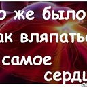  ,  -  11  2013    