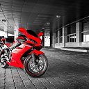 ���� ������, ������, 48 ��� - ��������� 13 ��� 2013 � ������ ���� ����������