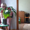 ���� �������, ����, 39 ��� - ��������� 13 ���� 2012 � ������ ���� ����������