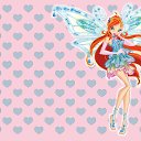 ���� �����, ���� - ��������� 29 ������ 2010 � ������ ����� �����