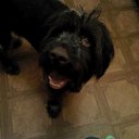 ���� �����, �����-���������, 52 ���� - ��������� 19 ������ 2012 � ������ ���� ����������