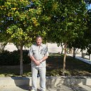 ���� ������ ��������, ������������, 71 ��� - ��������� 25 ������ 2013 � ������ ���� ����������