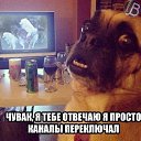 ���� ��������, ������, 40 ��� - ��������� 14 ���� 2013 � ������ ����� ))�