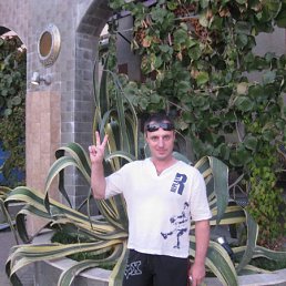 ���������, ������, 50 ���