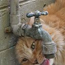 ���� ����, �������� - ��������� 3 ��� 2010 � ������ ��������� ��������