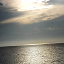���� ������, �������, 61 ��� - ��������� 15 ������� 2011 � ������ ���� ����������