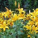 �������!!! �� ������� ����λ