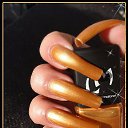 ���� ���������, ������, 42 ���� - ��������� 28 ���� 2013 � ������ ���� ����� ����������� ������