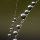 ���� ������, ����� - ��������� 8 ���� 2010 � ������ ����������