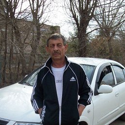 , 66, 