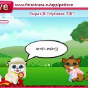  , , 37  -  24  2010   PetLove