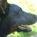 ���� �����, ������, 57 ��� - ��������� 4 ������ 2011 � ������ ������