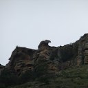  , , 41  -  23  2010   ~   ~