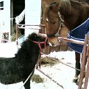 ���� �, �����-���������, 50 ��� - ��������� 16 �������� 2010 � ������ ���� �����