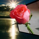 ���� ����, ����, 54 ���� - ��������� 3 ������� 2012 � ������ ���� ����������