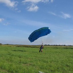 ��� ����, ������� ��������, 49 ���