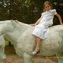 ���� �������, ����������, 26 ��� - ��������� 11 ������� 2013