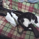  , -, 57  -  12  2012   