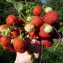 ���� �������, �����-��������� - ��������� 4 ������ 2010 � ������ �����,������