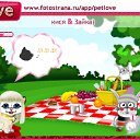  , , 102  -  24  2010   PetLove