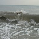 ���� ������, �����������, 44 ���� - ��������� 4 ������ 2012