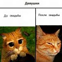 ���� �������, ������ - ��������� 27 ������ 2013 � ������ �...�� ������� ��� ���...�