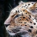  , , 43  -  15  2009   Digital Art Wallpapers