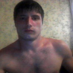 ������, ���������, 38 ���