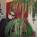  ~**~  ~**~ ~,  -  27  2012    λ