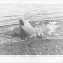 ���� ��������, �����-��������� - ��������� 6 ������� 2011 � ������ ���� ����������