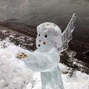   (Paolo Genua),  -  14  2012    2011-2012