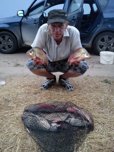 Vit, �����������, 58 ���