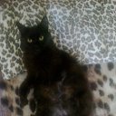 ���� ����, ���� - ��������� 26 ������� 2012 � ������ �������� �����