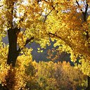 ���� �������, ������������, 52 ���� - ��������� 31 ����� 2010 � ������ �������