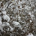 ���� �����, ������������, 32 ���� - ��������� 24 ������� 2011 � ������ ���� ����������