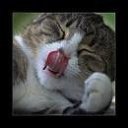 ���� �����, �������, 40 ��� - ��������� 26 ���� 2013 � ������ ������ � ������