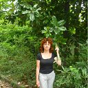 ���� �lga, ����, 64 ���� - ��������� 3 ������ 2012 � ������ ���� ����������