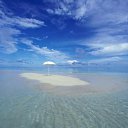 ���� ����, �����-���������, 47 ��� - ��������� 16 ������ 2013 � ������ ���� ����������