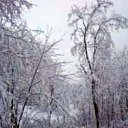 ���� ���������, ���������� - ��������� 10 ������ 2010 � ������ �*** ������� ***�